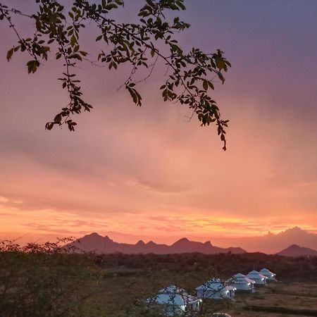 The Bagheera Bagh Jawai Otel Bera Dış mekan fotoğraf