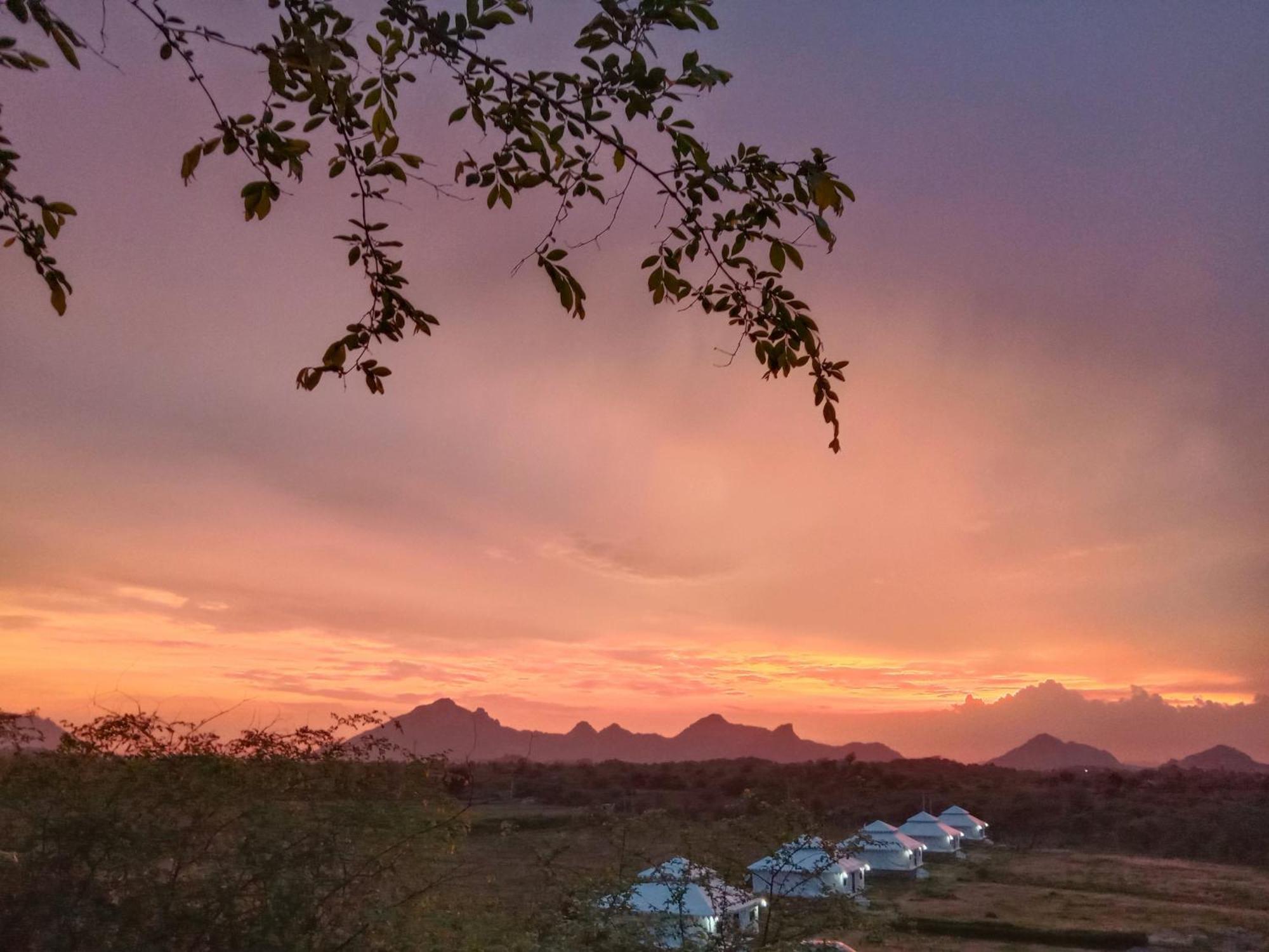The Bagheera Bagh Jawai Otel Bera Dış mekan fotoğraf
