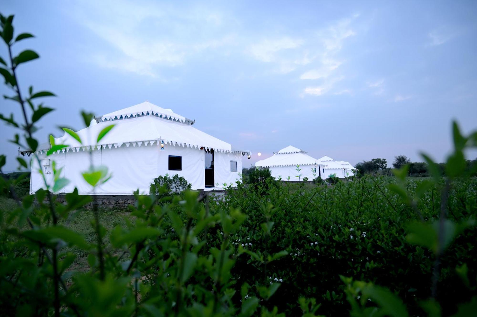The Bagheera Bagh Jawai Otel Bera Dış mekan fotoğraf